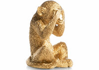 coco-maison-48259-monkey-no-see-beeld