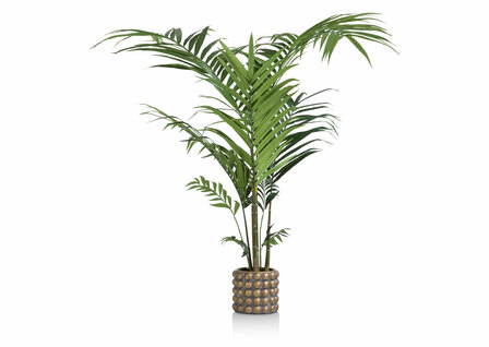 CMA_47636GRN_plant_kentia_palm_h120_decozit-kunstplant
