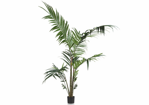 kunstboom,palm,kentia,decozit,47681,grn,coco,maison