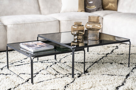 Olit salontafel set van 2