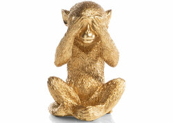 Monkey no see