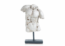 Cicero beeld