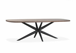 Status | Eetkamertafel 200 x 100 cm 